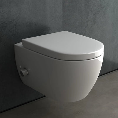 Dusch-WC