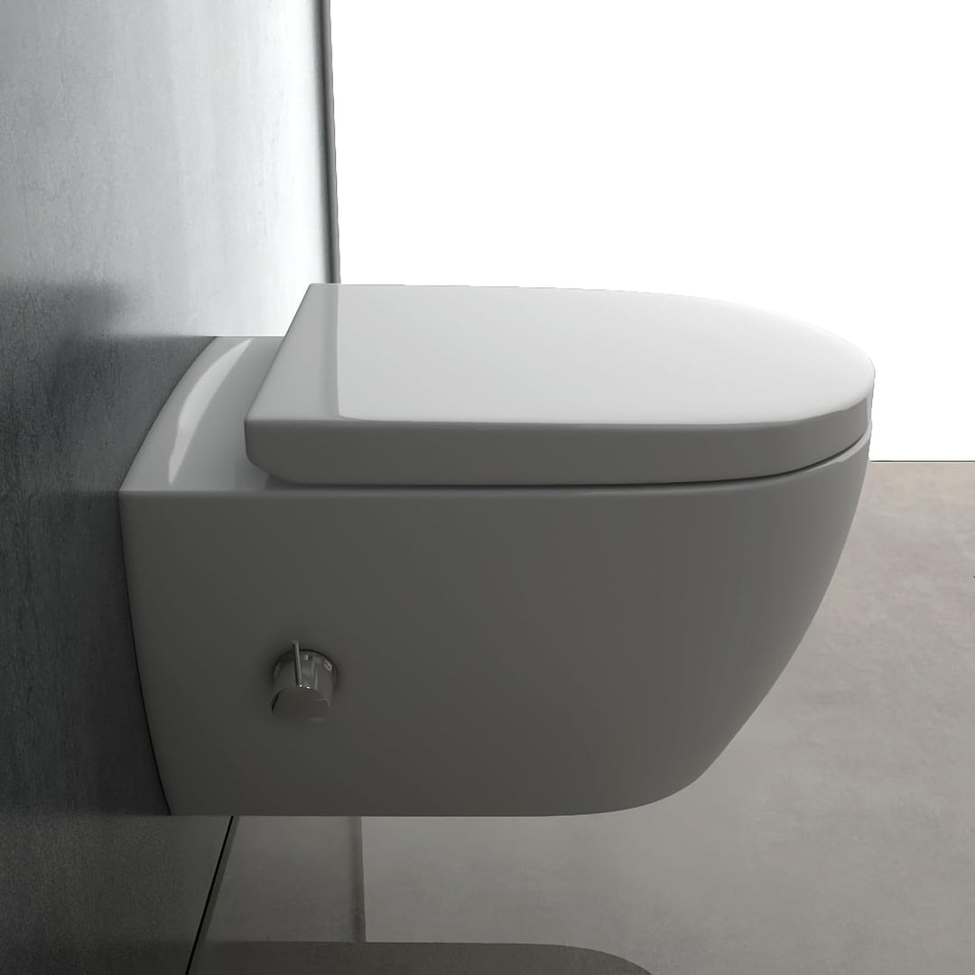 Alpenberger Diamond 7150 Hänge WC mit Bidet Funktion und Armatur