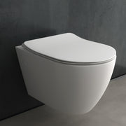 Alpenberger Insara 9024 Hänge WC: Tiefspül WC mit Nano und Soft-Close