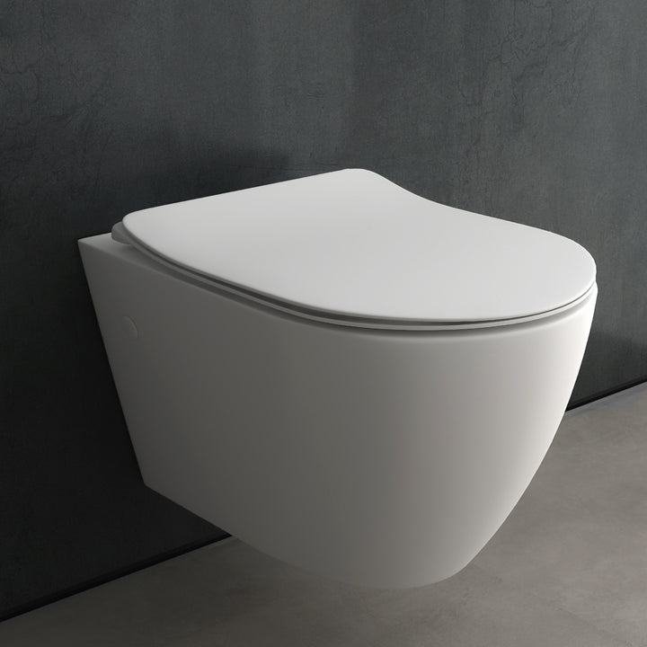 Alpenberger Insara 9024 Hänge WC: Tiefspül WC mit Nano und Soft-Close